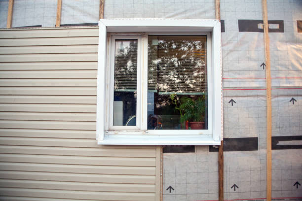 Best Fascia and Soffit Installation  in Franklin, WI