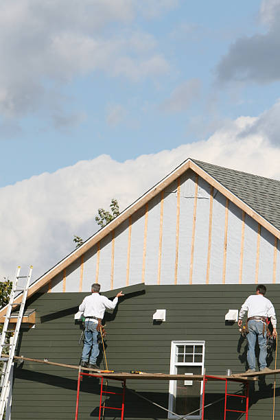 Best Custom Siding Design  in Franklin, WI