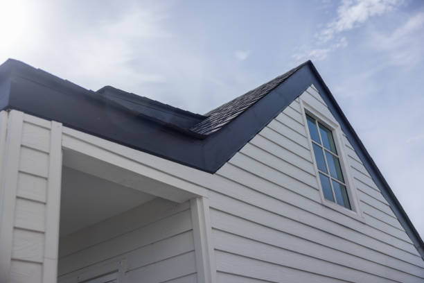 Best Siding Painting and Refinishing  in Franklin, WI