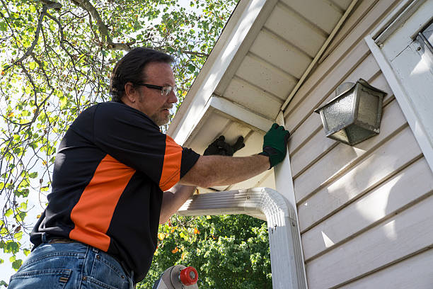 Best Wood Siding Installation  in Franklin, WI